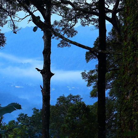 Madhumanthra Resort - Homestay Munnar Esterno foto