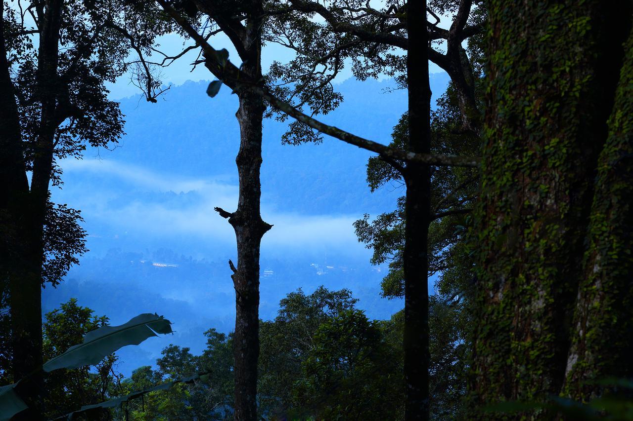 Madhumanthra Resort - Homestay Munnar Esterno foto