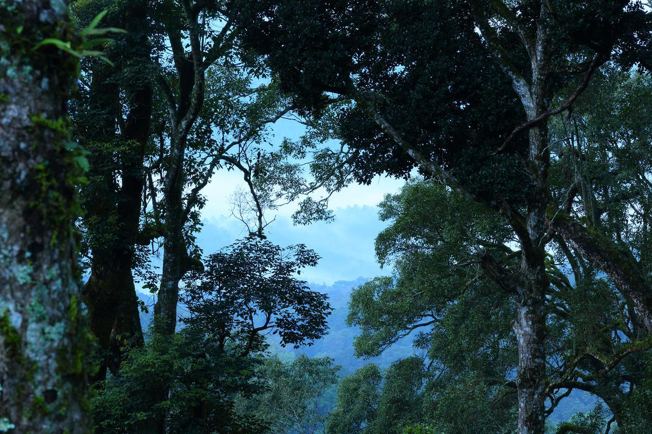 Madhumanthra Resort - Homestay Munnar Esterno foto