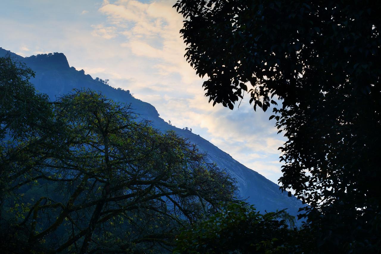 Madhumanthra Resort - Homestay Munnar Esterno foto
