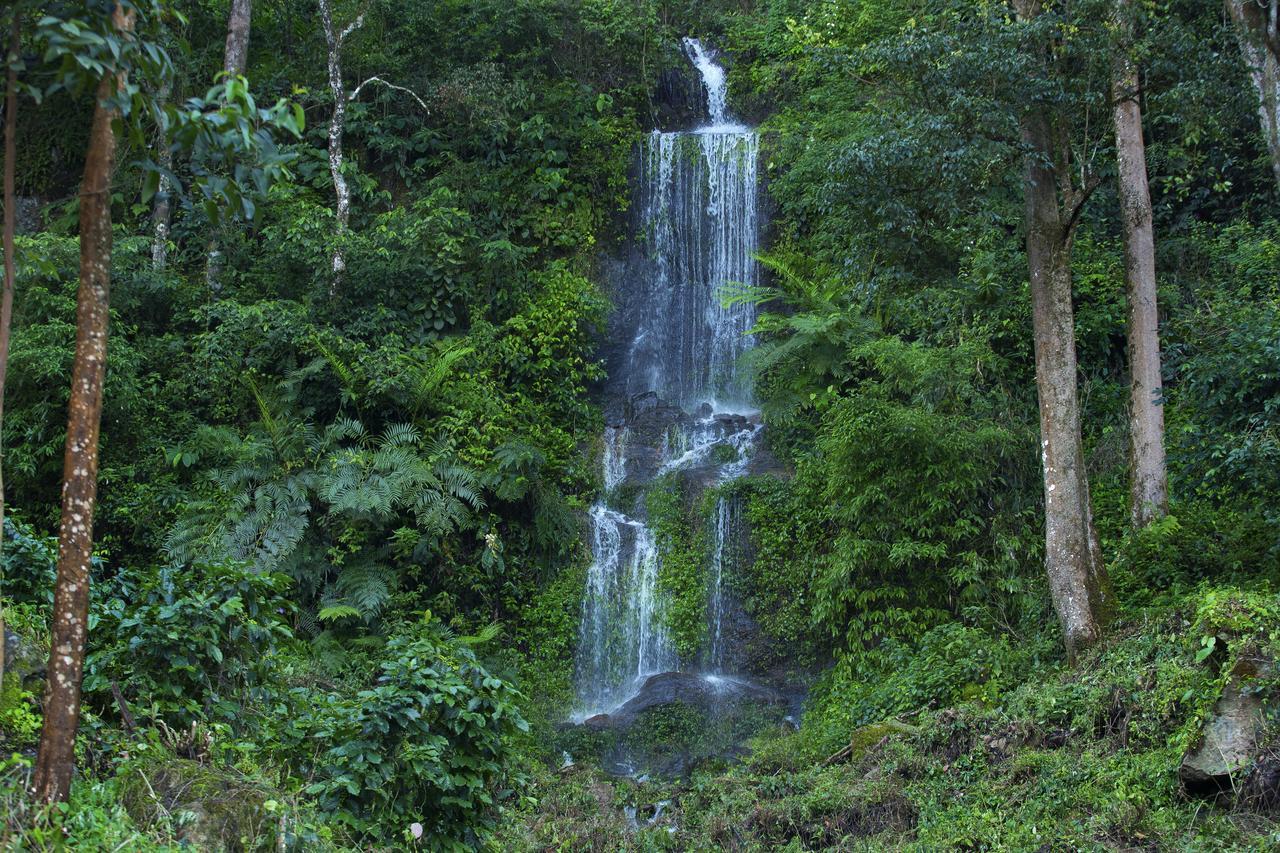 Madhumanthra Resort - Homestay Munnar Esterno foto