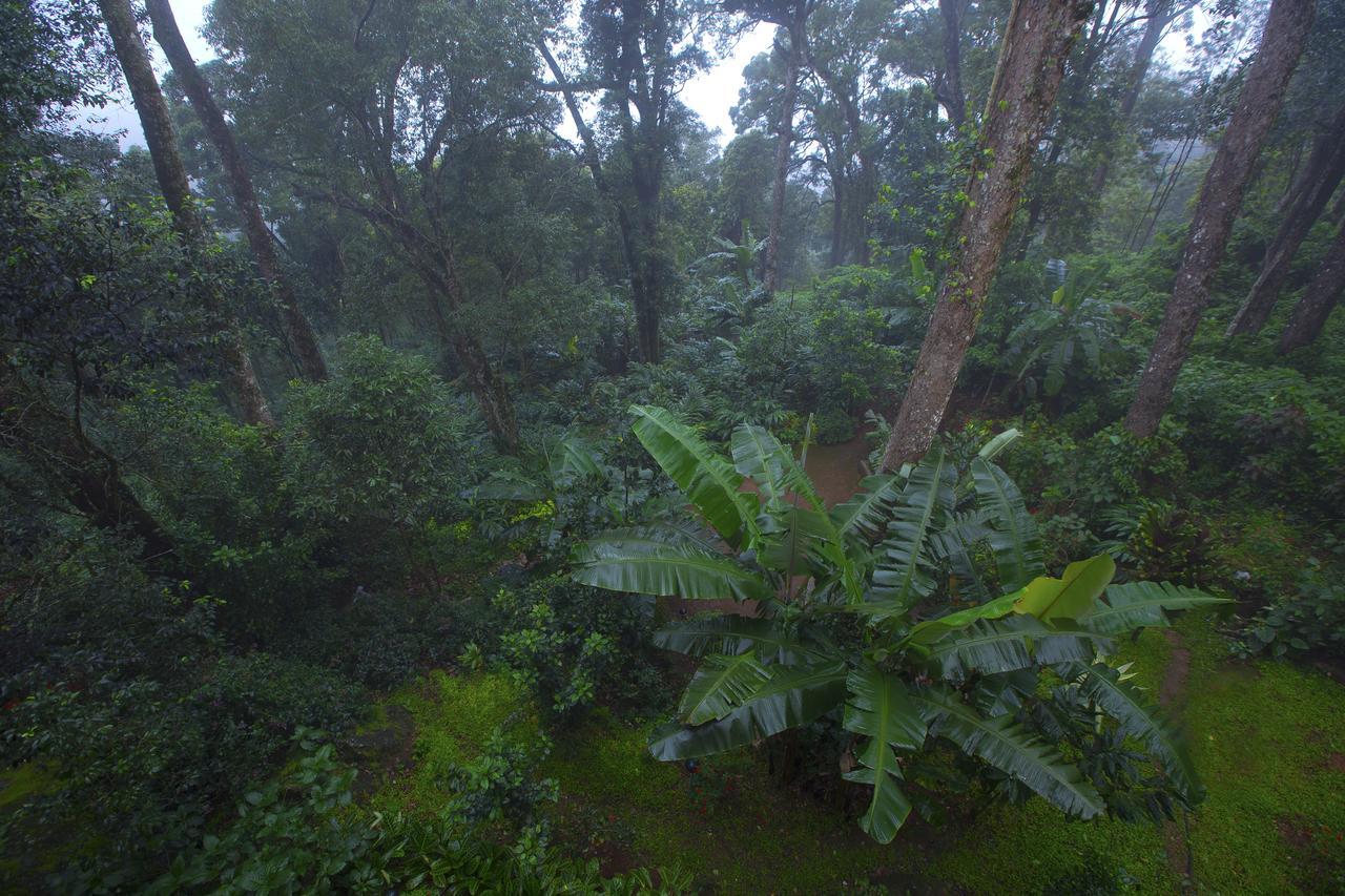 Madhumanthra Resort - Homestay Munnar Esterno foto